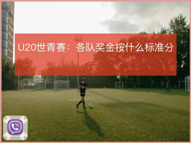 U20世青赛:各队奖金按什么标准分