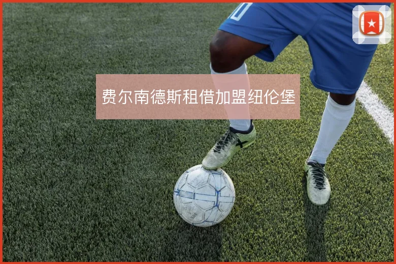 费尔南德斯租借加盟纽伦堡