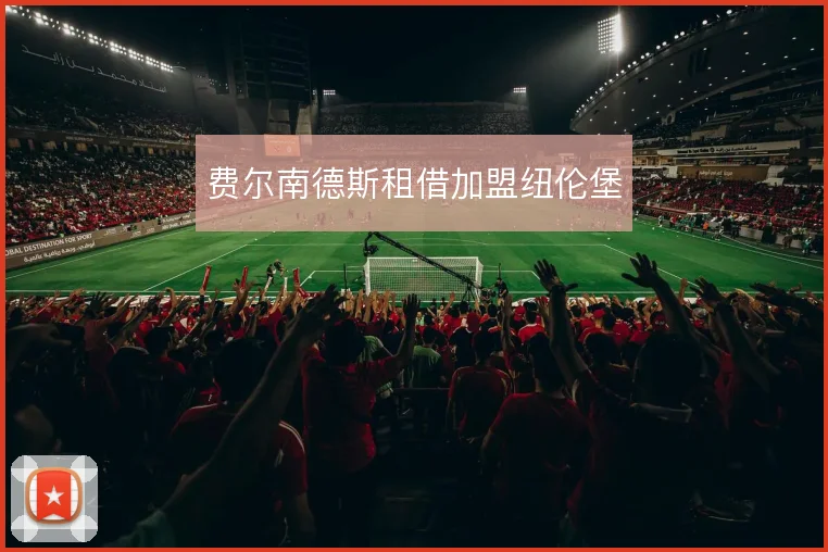 费尔南德斯租借加盟纽伦堡